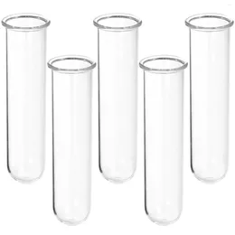 Vases 5 Pcs Hydroponic Vase Plant Propagation Tubes Flower Pot Desktop Transparent Glass Test