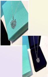 2021 TI Brand Necklace Olive Leaf Pendant S925 Necklace Female Collarbone Chain AA2203154027614