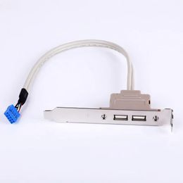 1pc neueste hohe Qulity Double Port USB Heckmotherboard Verlängerungskabel Desktop PC -Hülle PCI USB 2.0 Schalldämpfer Wire