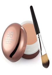 Whole Cosmetic Blemish BB Cream Concealer Smooth Moisturising Face Cover Foundation Makeup Brush ship8726443