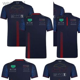 F1 Team Racing T-shirt Formula 1 Driver Polo Shirts T-shirts Motorsport New Season Clothing Fans Tops Mens Jersey Plus Size AIIN