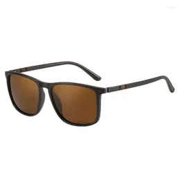 Sunglasses Luxury TR Trendy Sunglass For Cycling Driving Vintage Outdoor Fishing Sun Glasses Polarised Metal Men And Women