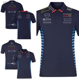 2024 F1 Racing Team T-shirt Formula 1 Driver Polo Shirts Mens Clothing Tops New Season Motorsport Fans T-shirt Jersey BQ1Z