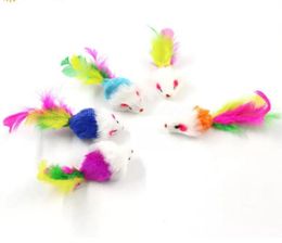 Colourful Feather Grit Small Mouse Cat Toys For Cat Feather Funny Playing Pet dog Cat Small Animals feather Kitten FY4654 FS149129556