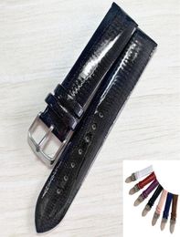 Watch Bands Colourful Patent Genuine Leather Strap Stainless Steel 12 14 16 18 20 22mm Band Accessories Bracelets Watchbands7843095