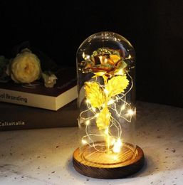 Eternal Flower Rose In Flask Glass Dome Valentine039s Day Gift With Night Light For Wedding Mother Day Presen3547246