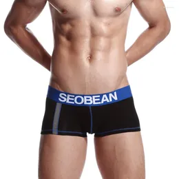 Underpants Men's Low Rise Underwear For Young U Convex Pouch Boxer Shorts Teenager Fashion Aro Pants Student Sports Bottom Lingerie Panties