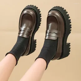 Casual Shoes Woman 2024 Female Footwear Clogs Platform Round Toe Slip-on British Style Sneaker Oxfords Loafers With Fur Dres