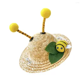 Dog Apparel Pet Po Hat Cute Cap Kitten Cool Bee Modeling Cat Straw Hats Decorative Summer Decorate