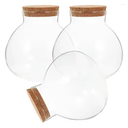 Vases 3 Pcs Micro Landscape Ecological Bottle Sealing Glass Sealed Jar Cork DIY Empty Terrarium Home