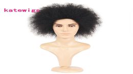 Synthetic Short Fashion Men039s Wig Afro Kinky Curly Wigs Black Yaki Straight Hair8649868