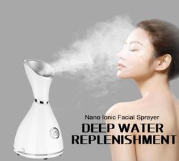Nano Ionic spray Face Steamer spray machine Ion steam Face Sprayers instrument Facial moisturizer humidifier Beauty Spa CX6467397