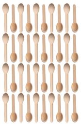 501002005001000Pcs Mini Nature Wooden Home Kitchen Cooking Spoons Tool Scooper Salt Seasoning Honey Coffee Spoons12774611