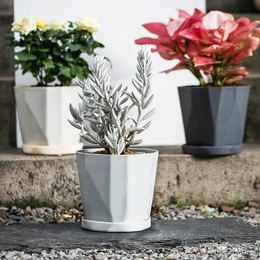 Planters Pots Creative Succulent Flower Pots Plants Plastic Decorative Nursery Pots with Tray Living Room Balcony Plants Bonsai Pot