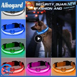 Dog Collars M Size LED Glowing Collar Adjustable Flashing Rechargea Luminous Night Anti-Lost Light For Small Pet Supplies