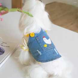 Dog Apparel Autumn/Winter Denim Strap Skirt With Velvet Cute Home Pet Clothes Teddy Yorkshire Schnauzer Dresses Puppy