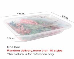 1 Box Real Dried Flower Dry Plants For Aromatherapy Candle Epoxy Resin Pendant Necklace Jewellery Making Craft DIY Accessories3447202