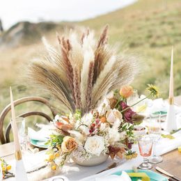 Decorative Flowers 30 PCS Pampas Grass Fall Decor Dried Bouquet For Wedding Boho Home Table Rustic Farmhouse Party White
