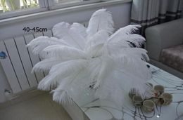 Whole 100pcs per lot Prefect Natural Ostrich Feather White 1416inch3540cm Wedding Decoration Centerpieces Party table cent6292820