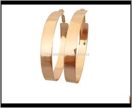 Hoop Huggie Hie Earrings Jewelry Casual Gold Rosegold Color Width Oval Hoop Earring For Woman Girl Gzge02049310