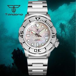 Wristwatches Tandorio NH35A Date Mother Of Pearl Dial 42mm Monster 20ATM Dive Mechanical Automatic Watch For Men AR Sapphire Glass 3.8 Crown