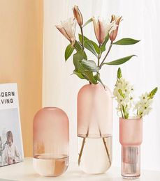Vases Creative Hydroponic Plant Glass Vase Modern Minimalist Home Living Room Table Desk Decoration Pink Transparent Flower2770493