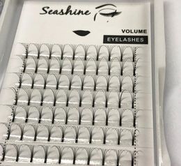 Seashine Beauty 6D High Quality Pre Made Fans Volume Eyelash Extensions Individual Eyelashes 1Piece CCurl 8-15mm Drop Shipping5597011