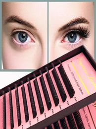 HPNESS Fake Eyelashes Natural Colour Uesd for Professional Eyelash Extension Very Sofy with Mixed Length5138348