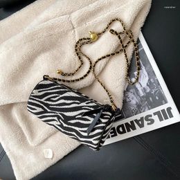 Shoulder Bags Transfer Bead Pillow Cylinder Bag Zebra Pattern Canvas Women's Single Chain Small Messenger 2024