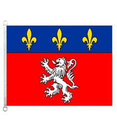 Lyon Flag Banner 3X5FT90x150cm 100 Polyester 110gsm Warp Knitted Fabric Outdoor Flag7481972