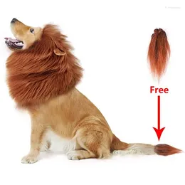 Dog Apparel Pet Cosplay Clothes Transfiguration Costume Lion Mane Winter Warm Wig For Large Holiday Party Handsome Set Products