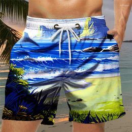 Men's Shorts Plaid Color Block Resort 3D Printed Seaside Pattern Swimming Pants Elastic Drawstring Hawaiian Style Beach