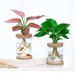 Planters Pots Mini Hydroponic Flower Pot Transparent Vase Soilless Plant Pots for Indoor Table Desktop Fish Tank Green Plants Home Decoration