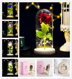 Rose Lasts Forever With Led Lights In Glass Dome Valentine039s Day Wedding Anniversary Birthday Gifts Party Decoration 5 Colors1910178