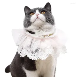 Dog Apparel Legendog 1pc Pet Scarf Lace Floral Fake Pearl Decor Adjustable Collar Cat Bandana Clothing Accessories Supplies