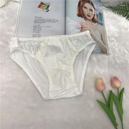 Underpants Gay Sexy Underwear Men Soft Penis Pouch Cueca Sissy Man Transparent Briefs Hombre Panties Shorts