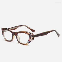 Sunglasses Cat Eye Reading Glasses Women Men Vintage Polygons Eyeglasses Frame Female Optical Myopia Prescription Spectacles Red Black Blue