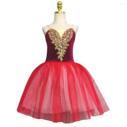 Stage Wear Ballet Tutus For Princess Performance Clothing Swan Belly Dance Skirts Outfit Girls Velvet Tops