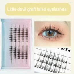 False Eyelashes Eyelash Fishtail Style Waterproof Soft Segmented Little Devil For Female