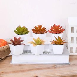 Decorative Flowers 6pcs Succulent Small Potted Plant Combination. Home Living Room Dining Table Office Flower Arrangement Ornaments