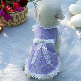 Dog Apparel Pet Dress Cosplay Skirt Summer Small Princess Costume