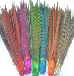 100pcslot 5055cm red orange pink royal blue purple turquoise yellow lime green Ringneck Pheasant Tail Feathers5294353