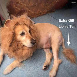 Dog Apparel Realistic Lion Mane For Pets Adjustable Costume With Ears Tail Medium To Dogs Pet Wig Brown