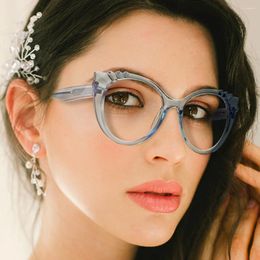 Sunglasses Frames Cat Eye Computer Glasses Women Anti Blue Ray Glass Light Blocking Prescription Optical Female Eyewear JS6047