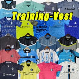 2023 2024 Gremio Camisa Soccer Jerseys D.COSTA Henrique GERMAN CANO BENITEZ 22/23 Morato Zeca Carlinhos Ernando Bruno Gomes football shirt training vest goalkeeper