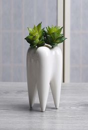Teeth shape ceramic pot succulent planter mini white cute garden flower decoration indoor office desk decor3949801