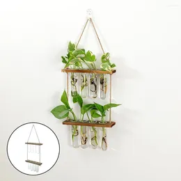 Vases Hanging Terrarium Planter Indoor Plant Home And Decorative