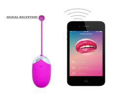 2017 New sex shop USB Recharge Wireless App Remote Control Jump Egg Vibrators For Women Vibrating Egg Sex Toys For Female D18111203033886