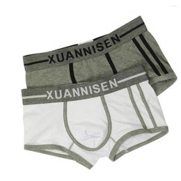 Underpants Youth Fashion Creative Sports Boxer Short For Young People Simple Plain Colour Cotton Underwear Teenagers Bottom Lingerie