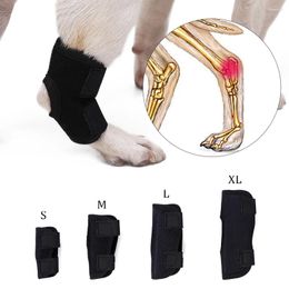 Dog Apparel Knee Brace Injuries Leg Pet Joint Wrap Protect Wounds Front Back Recovery Sleeve Protectors For Dogs